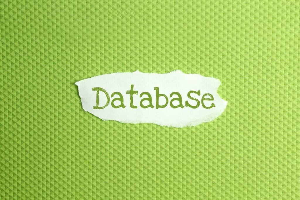 What steps can firms take to begin adopting database application software?